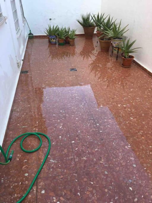 Casa Soleada En Calle Tranquila Sevilla Eksteriør bilde