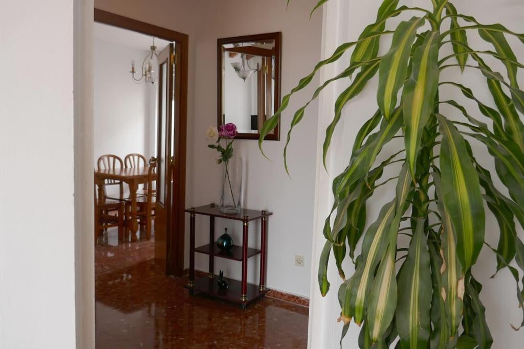 Casa Soleada En Calle Tranquila Sevilla Eksteriør bilde