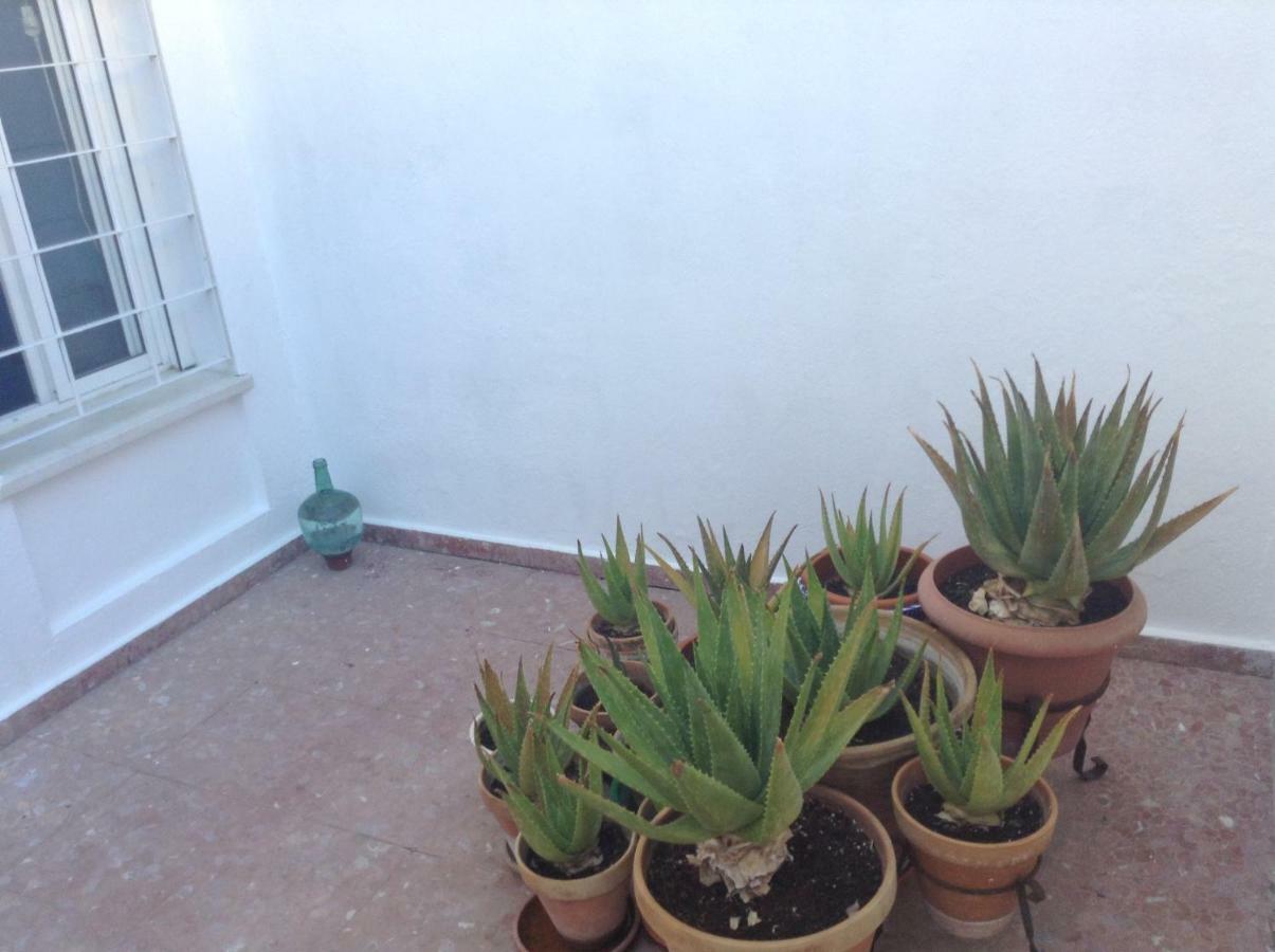 Casa Soleada En Calle Tranquila Sevilla Eksteriør bilde